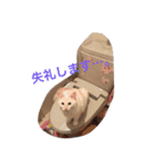 ミルマロ（個別スタンプ：3）
