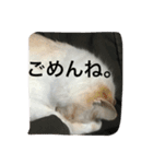 ミルマロ（個別スタンプ：16）