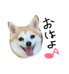 ハッピーかすみん（個別スタンプ：6）
