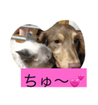 チョコたんラグたん！（個別スタンプ：2）