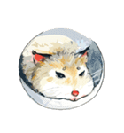 Butter Hamster（個別スタンプ：14）