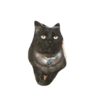猫の可愛いすたんぷ（個別スタンプ：1）