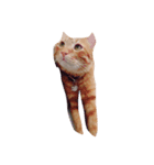 猫の可愛いすたんぷ（個別スタンプ：7）