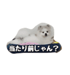 豆大福のスタンプ（個別スタンプ：15）