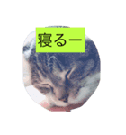 OKhappy（個別スタンプ：3）