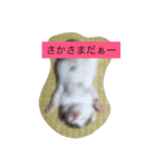 OKhappy（個別スタンプ：7）