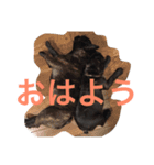 フレブルMareの日常生活（個別スタンプ：4）