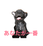 フレブルMareの日常生活（個別スタンプ：7）