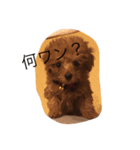 可愛いトイプードルの媛（個別スタンプ：6）