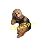 Honobono HOPE（個別スタンプ：5）