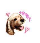 Honobono HOPE（個別スタンプ：6）
