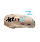 ペキニーズのぷーちゃん（個別スタンプ：5）