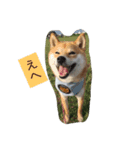 我が家の癒し犬です。（個別スタンプ：7）