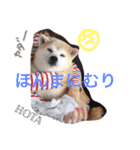 ほたちゃんのすたんぷ（個別スタンプ：4）
