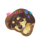 りり太と一緒★（個別スタンプ：1）