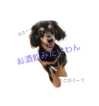 りり太と一緒★（個別スタンプ：15）