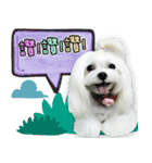 Wow princess photo static map daily life（個別スタンプ：2）
