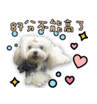 Wow princess photo static map daily life（個別スタンプ：3）