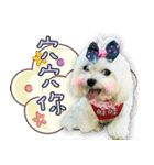 Wow princess photo static map daily life（個別スタンプ：4）