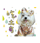 Wow princess photo static map daily life（個別スタンプ：9）