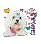 Wow princess photo static map daily life（個別スタンプ：10）