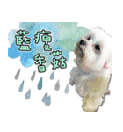 Wow princess photo static map daily life（個別スタンプ：12）