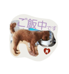 may.k（個別スタンプ：2）