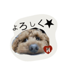 may.k（個別スタンプ：3）