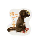 may.k（個別スタンプ：5）