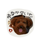 may.k（個別スタンプ：6）