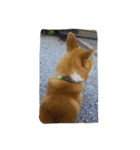 ソラ君二弾（個別スタンプ：4）