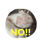そら達（個別スタンプ：4）