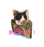 そら達（個別スタンプ：8）