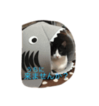 そら達（個別スタンプ：9）