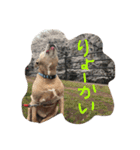 そら達（個別スタンプ：11）