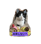 そら達（個別スタンプ：18）