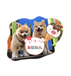 mintohouse（個別スタンプ：3）