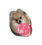 mintohouse（個別スタンプ：8）