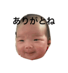 犬と杏ちゃんです（個別スタンプ：1）