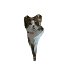年老いたねこ（個別スタンプ：3）