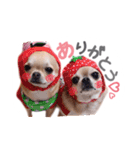juni ＆ luni 1（個別スタンプ：1）