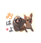 juni ＆ luni 1（個別スタンプ：3）