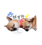 juni ＆ luni 1（個別スタンプ：4）