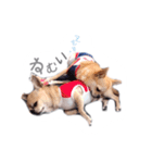 juni ＆ luni 1（個別スタンプ：5）