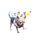 juni ＆ luni 1（個別スタンプ：6）