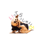 juni ＆ luni 1（個別スタンプ：7）