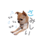 juni ＆ luni 1（個別スタンプ：8）
