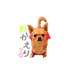 juni ＆ luni 1（個別スタンプ：9）
