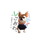 juni ＆ luni 1（個別スタンプ：12）