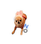 juni ＆ luni 1（個別スタンプ：14）